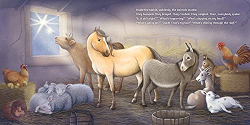 Sourcebooks Wonderland Guendelsberger, Erin The Christmas Blessing: A One-Of-A-Kind Nativity Story For Kids About The Love That Brings Us Together thumb #7