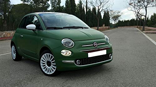 Spar-Set, Militärgrün, matt, für mittelgroße Autos, 2 Kanister 4 l