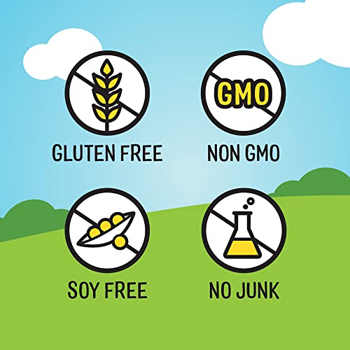 The Good Crisp Company, Sour Cream And Onion, Gluten Free Potato Chips (5.6 Ounce Canisters, Pack Of 8), Non-Gmo, Allergen Friendly, Potato Chip Snack Pack, Gluten Free Snacks #TOP6