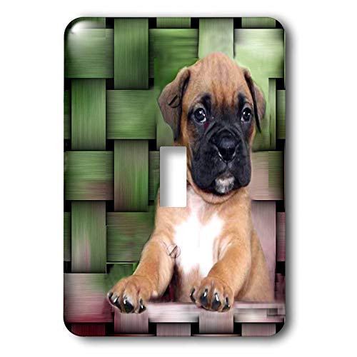Boxer Puppy interrupteur simple 3dRose cache-prise contre les murs ternes - 2