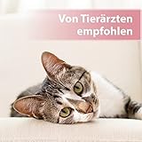 Felisept Augenpflege-Pads für Katzen 100 Stück - Mit Aloe Vera Extrakt - Fingerlinge zur Reinigung & Pflege des Augenumfelds - Katzen Pflege gegen Schmutz & Tränenstein - Augenreiniger Katze