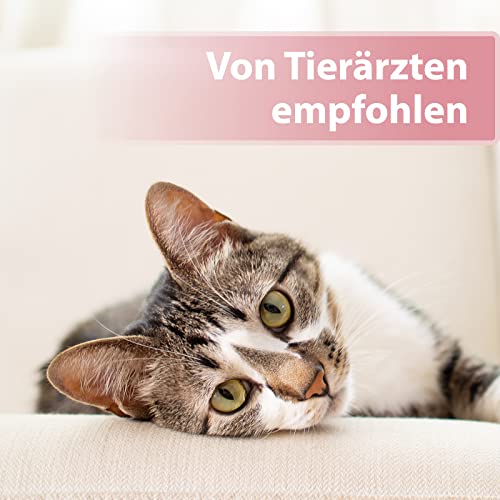 Felisept Augenpflege-Pads für Katzen 100 Stück - Mit Aloe Vera Extrakt - Fingerlinge zur Reinigung & Pflege des Augenumfelds - Katzen Pflege gegen Schmutz & Tränenstein - Augenreiniger Katze