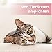 Felisept Augenpflege-Pads für Katzen 100 Stück - Mit Aloe Vera Extrakt - Fingerlinge zur Reinigung & Pflege des Augenumfelds - Katzen Pflege gegen Schmutz & Tränenstein - Augenreiniger Katze