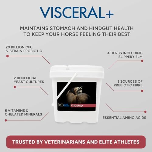 Mad Barn - Visceral+ - Supplement for Horse Gut Health and Digestion, 2.5 kg - 5