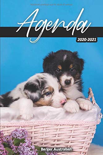 Télécharger Agenda 2020-2021 / Berger Australien: Année scolaire (Septembre 2020 - Juillet 2021) | 2 jours par Livre eBook France