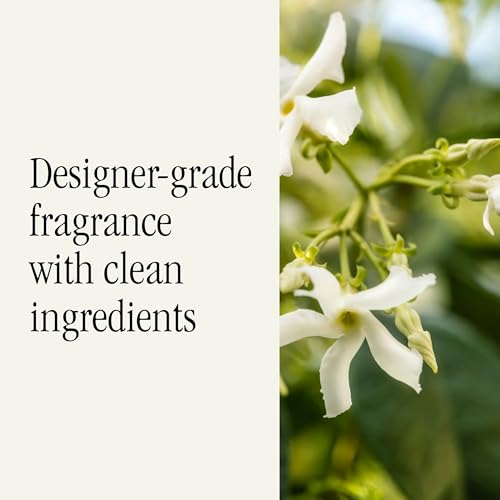 Image of Pura Car Scent Refill, White Tea No. 1 | Fragrance for Pura Car Diffuser, Clean and Safe Luxury Diffuser Scent, Long-Lasting Fragrance for 30 Days of Aroma