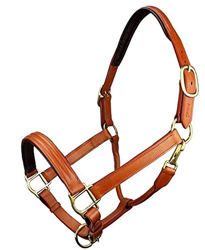 Grewal Equestrian Triple Stitched Leather Halters (Longdon Gold, Full)