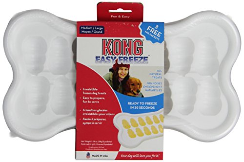 kong freezer tray