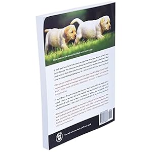   The-Complete-Labrador-Handbook-The-Essential-Guide-for-New-Prospective-Labrador-Owners-Canine-Handbooks-Paperback--April-27-2017