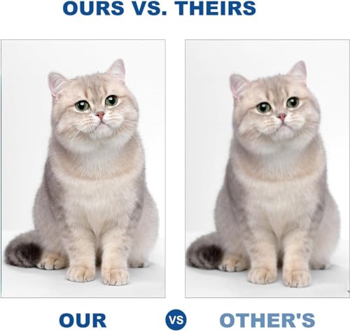 OGOUGUAN Cartucho de tinta de sublimação SG500 SG1000 compatível com impressora Sawgrass Virtuoso SG