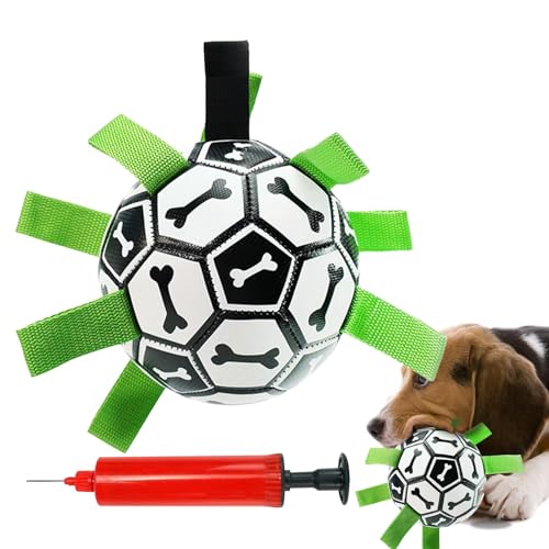 Jouet d'eau indestructible pour chiot et accessoire à mâcher