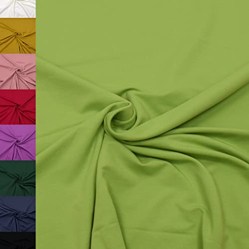 MAGAM-Stoffe Finn Jersey Stoff uni Oeko-Tex Meterware 50cm (14. Hellgrün)