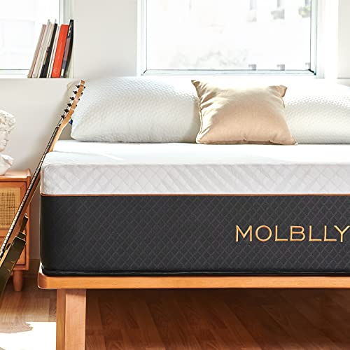 Top 10 Best Coil Mattress Reviewed by An Expert in 2023