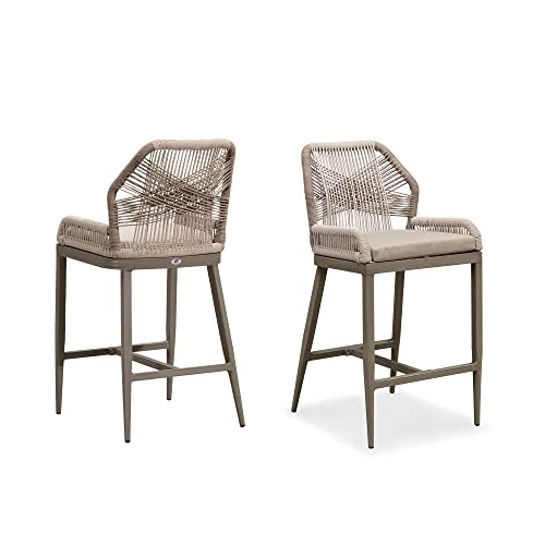 PURPLE LEAF Counter Height Bar Stools Set of 2 Rattan Woven Aluminum
