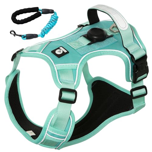 【2025最新型・特許構造】犬 ハーネス 小型犬 中型犬 大型犬用 胴輪 引っ張り防止 抜けない 着脱簡単 喉に優しい 夜間反射 サイズ調整可能 散歩 しつけ 歩行補助 (ターコイズ, L)