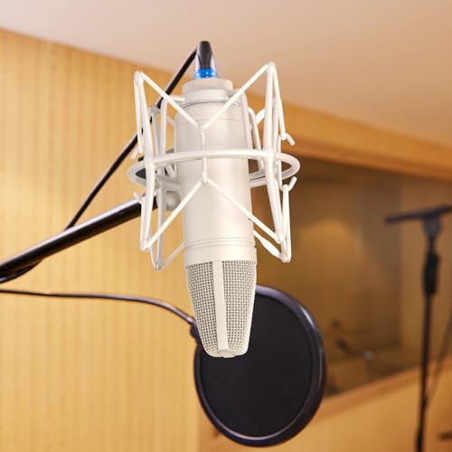 SUUNTOK Condenser Microphone XLR, Large Diaphgram Professional Recording Cardioid Microphone Kit with Shock Mount, for Studio, Live Streaming, Podcas (Silver)