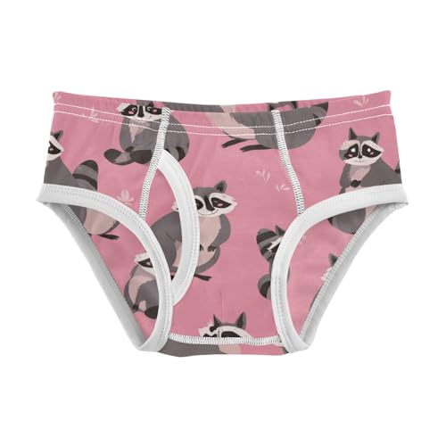 Wusikd Funny Raccoons Boys' Underwear Cotton Boys Briefs Soft Toddler Underwear 2T