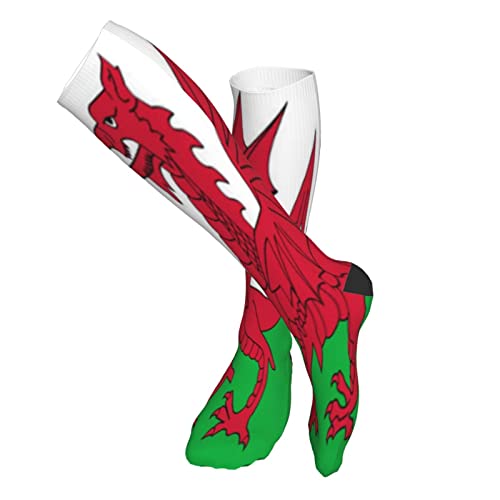 Fictory Regolatore di Carica del Vento