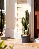  Leflos Cactus Artificiel de 60 cm, Décoration d\'intérieur pour la Maison et Le Bureau