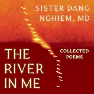 The River in Me cover art
