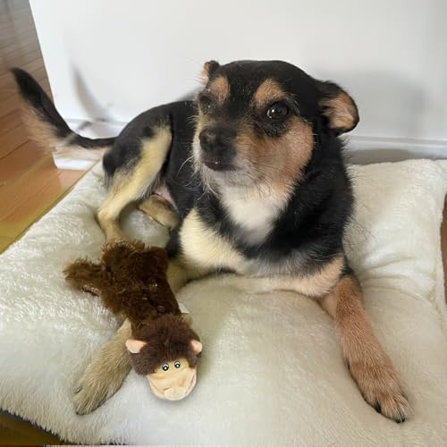 Image of Best Pet Supplies 2-in-1 Fun Skin Stuffless Dog Squeaky Toy Monkey & Squirrel, Medium | PT43T-45-S