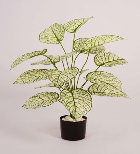 Image of ARICK DECOR 2.1Ft Artificial White Variegated Dieffenbachia Plant with 18 Leaves, 65cm Tall Faux Tropical Greenery in Black Pot, Realistic Large Silk Leaf Potted Tree for Home