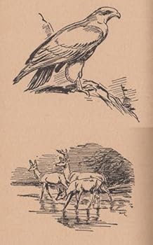 Hardcover Boru: The Story of an Irish Wolfhound (Famous Dog Stories) Book