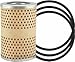 Hastings Filters - LF172 - Full-Flow Lube Element