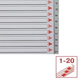 Esselte Rejestr A4, okładka z kartonu i 20 przekładek z tworzywa sztucznego, zakładki z nadrukiem liczbowym 1-20, ponadszerokość, szary, 100107