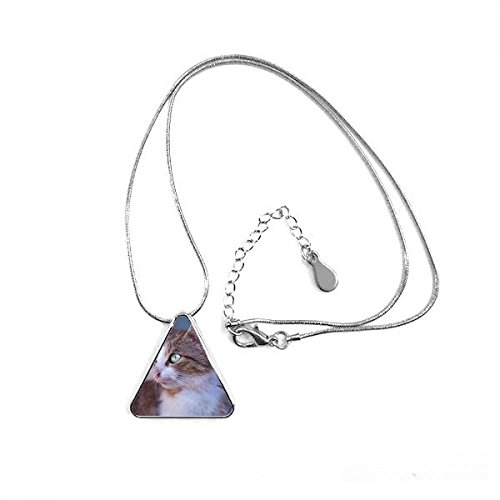 Collier pendentif triangle chat marron avec chaîne pour amateurs de bijoux animaux