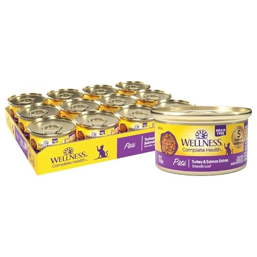 Wellness Complete Health Turkey & Salmon Pate