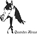 Adesivo per auto " QUARTER HORSE " cavallo Sticker taglio contorno (ca. 11x8 cm) (nero)