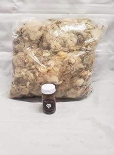 Southern Snares Trapping Raw Sheeps Wool and Free 1 oz Trapping Lure Great Sheeps Wool Odor