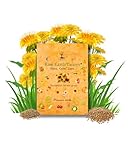 Premium Dandelion Seeds for Planting and Wheatgrass for Growing Cat Grass for Indoor cat, Kit Mix for Bearded Dragons, Tortoises, Guinea Pig Treats, Gerbil, Hamster and Chinchilla Food