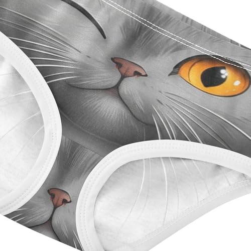 Cute Scottish Cat Grey White Girls Underwear Toddler 2t Cotton Girl Panties Cute Animal Kids Briefs Undies4