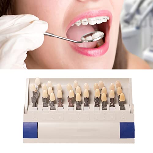 Image of Teeth Whitening Shade Porcelain 29 Colors Set Tooth Bleaching Shade Chart Material Equipment Oral Care