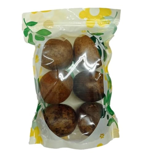 Premium Dried Luo Han Guo, Monk Fruit, Extra Large Size (6 Pieces)