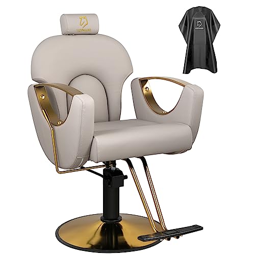 Luxmars Reclining Barber Chair Salon Chair Height Adjustable Hydraulic Chair Barber Chairs Salon Hydraulic Recliner Chair Hydraulic Pump Profession Shampoo Chair Beauty Salon Grey #TOP15