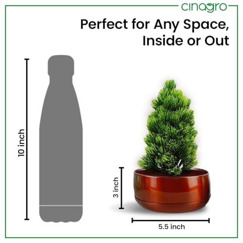 Image of CINAGRO Metal Planter Pot for Indoor Plants, Round Decorative Flower Pot, Rust-Resistant, Modern Plant Holder for Home, Balcony, Office (13.97 x 7.62 cm, Pulse Nest - Mahogany)