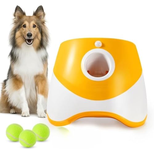 Vlfn {[`[   ejX{[3t 3iKˋ ؑ֎ ^ ^  O Ή mߋ XgX ^s h~ ȃGl ߓd S݌v RpNg y (3̃{[,IWF)