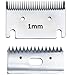 Folk Lot de lames de rechange pour tondeuse FL6, 1 mm Grosor, 31 dents, 15 dents, 78 mm chevaux, chiens, ânes, mulos (B - 1 kit de lame et peigne 1 mm)