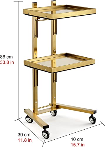 Carrello Organizer Multiuso - Carrello Pieghevole con Ruote, Supporto in Acciaio Inox Pieghevole, 2 Vassoi Portaoggetti per Centri Estetici, Tatuaggi, Spa E Barbieri.,Gold