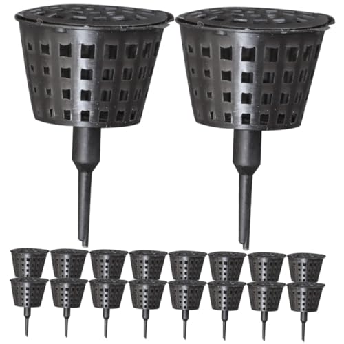 Sewroro 30 卆엿 Wt ėp\ ~͗p엿e |pAؔKp