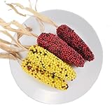 Luckforest Maíz artificial pequeño, juego de 6 piezas de maíz de espuma de simulación de maíz falso, modelos de maíz realistas para el hogar, cocina, fiesta, granja, otoño, Acción de Gracias