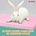 Haull 16 Pcs Plastic Rabbit Cage Mat, Small Animal Feet Pad Resting Pads for PET Hamster Rat Chinchilla Guinea Pig, Bunny Cage Mat 13.3 x 9.6 Inch(Pink)