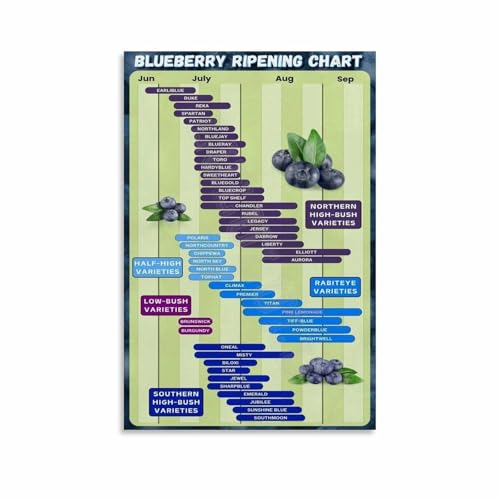 Blueberry Picking Chart When Are Blueberries Ripe Poster Educational Wall Art for Kitchen Garden Backyard Patio Decor(Framed,12x