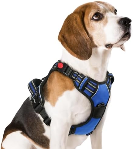 rabbitgoo Dog Harness Medium Breed, No Pull Pet Harness with 3 Buckles, Adjustable Soft Padded Dog Vest with Instant Control Handle, Easy Walking Reflective Pet Vest, Blue, M
