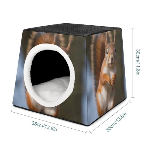 Maison pour chats d'intérieur et petits chiens en hiver - 3