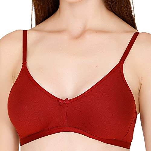 Image of Zivame Everyday Double Layered Non Wired 3 /4th Coverage T-Shirt Bra - Georgia Peach