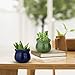 Succulent Pots, ZOUTOG 4 inch Ceramic Ice Crack Flower Planters, Colorful Pot with Bamboo Trays, Pack of 6 (Plants Not Included)